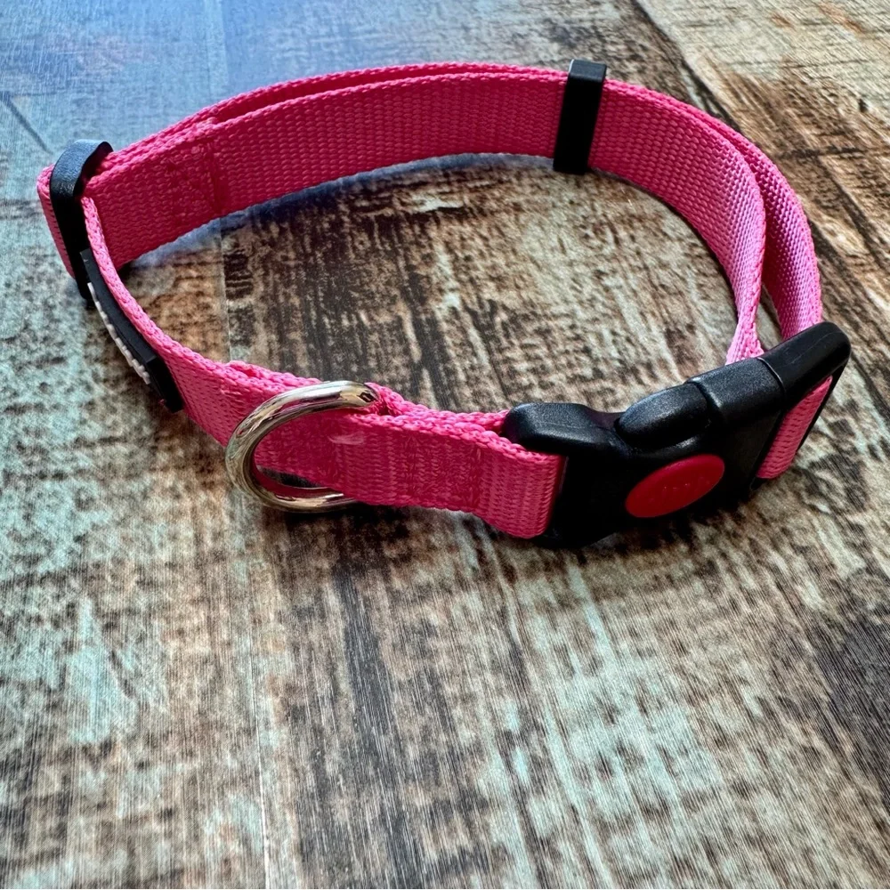 🆕 Set of Two “Beebiepet” Dog Collars | #L12